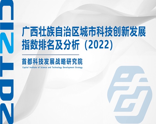 草逼调教视频【成果发布】广西壮族自治区城市科技创新发展指数排名及分析（2022）